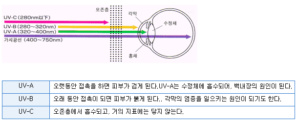 자외선이란